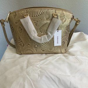 Stardust Draper Duxbury